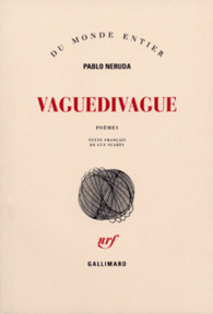 Vaguedivague (Paperback)