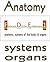 Flashcard Drill for Estheticians 1: Anatomy, Systems of the Body & Organs
