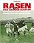 Rasen der Leidenschaften. Die Fußballplätze von Berlin. Geschichte und Geschichten