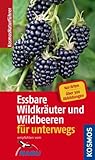 Essbare Wildkräuter und Wildbeeren für unterwegs: 140 Arten, über 300 Abbildungen Essbare Wildkräuter und Wildbeeren für unterwegs: 140 Arten, über 300 Abbildungen