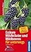 Essbare Wildkräuter und Wildbeeren für unterwegs: 140 Arten, über 300 Abbildungen