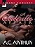 A Cinderella Affair (The Donovans #2)