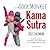 Sock Monkey Kama Sutra 2015 Calendar by Vatsyayana Banana
