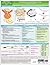 MemoCharts Pharmacology: The renin and angiotensin system (Review chart)