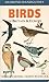 Birds of Britain and Europe