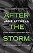 After the Storm by Jane Lythell
