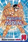 Knights of the Zodiac (Saint Seiya), Vol. 14 by Masami Kurumada