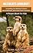 Meerkats Lookout!: Everythi...