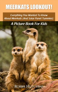 Meerkats Lookout!: Everything You Wanted To Know About Meerkats (And Solar Panel Tummies): A Picture Book For Kids (The Everything You Wanted To Know About series of Picture Books For Kids 5)