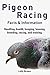 Pigeon Racing by Lolly Brown