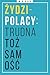 Żydzi-Polacy: trudna tożsamość