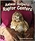 Animal Helpers: Raptor Centers