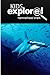 Hammerhead Shark - Kids Explore: Animal books nonfiction - books ages 5-6
