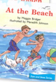 At the Beach