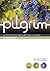 Pilgrim: The Beatitudes (Pilgrim Course Book 4)
