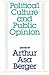 Political Culture and Public Opinion