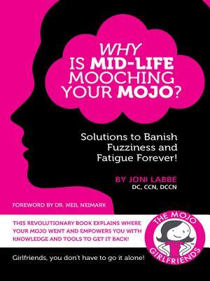 Why Is Mid-Life Mooching Your Mojo?: Solutions to Banish Fuzziness and Fatigue Forever!