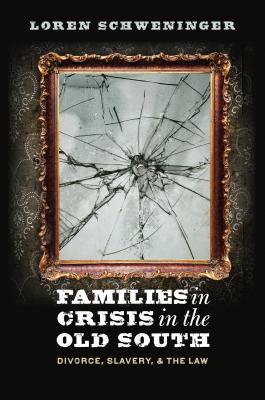 Families in Crisis in the Old South: Divorce, Slavery, and the Law (Paperback)