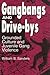 Gangbangs and Drive-Bys: Grounded Culture and Juvenile Gang Violence (Social Problems and Social Issues)