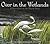 Over in the Wetlands by Caroline Starr Rose