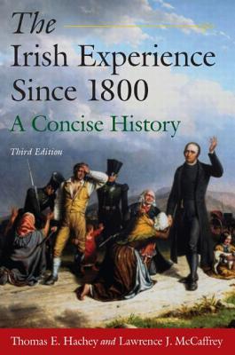 The Irish Experience Since 1800: A Concise History (Paperback)