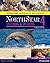 NorthStar Listening and Speaking 4 SB, International Edition (4th Edition)