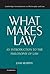 What Makes Law: An Introduction to the Philosophy of Law (Cambridge Introductions to Philosophy and Law)