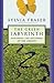 The Green Labyrinth: Exploring the Mysteries of the Amazon