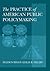 The Practice of American Public Policymaking