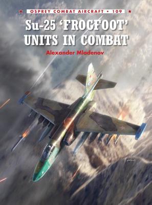 Su-25 'Frogfoot' Units In Combat (Combat Aircraft, 109)