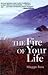 The Fire of Your Life