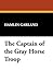 The Captain of the Gray Hor...