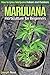 Marijuana Horticulture for Beginners: How to Grow Marijuana Indoors and Outdoors