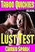 Lust Test: Taboo Quickie