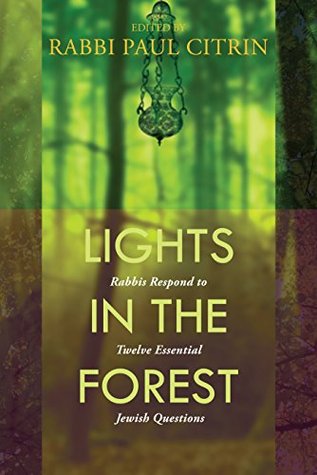 Lights in the Forest: Rabbis Respond to Twelve Essential Jewish Questions (Kindle Edition)