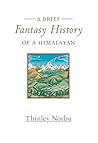 A Brief Fantasy H...