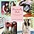 Practically Posh by Robyn Moreno