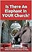 Is There An Elephant In YOUR Church?: Or The Whole Gospel Of Grace That Jesus Revealed To Paul?