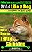 Shiba Inu, Shiba Inu Training AAA AKC: Think Like a Dog, but Don’t Eat Your Poop! | Shiba Inu Breed Expert Training |: Here's EXACTLY How To Train Your Shiba Inu