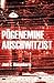 Põgenemine Auschwitzist by Joel C. Rosenberg