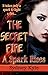 A Spark Rises (The Secret Fire Book 1)