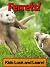 Ferrets Learn About Ferrets and Enjoy Colorful Pictures - Look