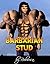 Barbarian Stud (Huge Size Erotic Story)