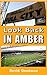 Look Back in Amber