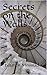 Secrets on the Walls (Secrets on the Walls, #1)