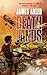 Sky Raider (Deathlands, #78)