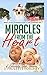 Miracles From The Heart by J. Paulette Forshey