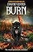 Burn (Salem's Revenge, #3)