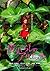 Script of "The Secret World of Arrietty" (2010) Written in English and Japanese