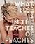 What Else Is in the Teaches...